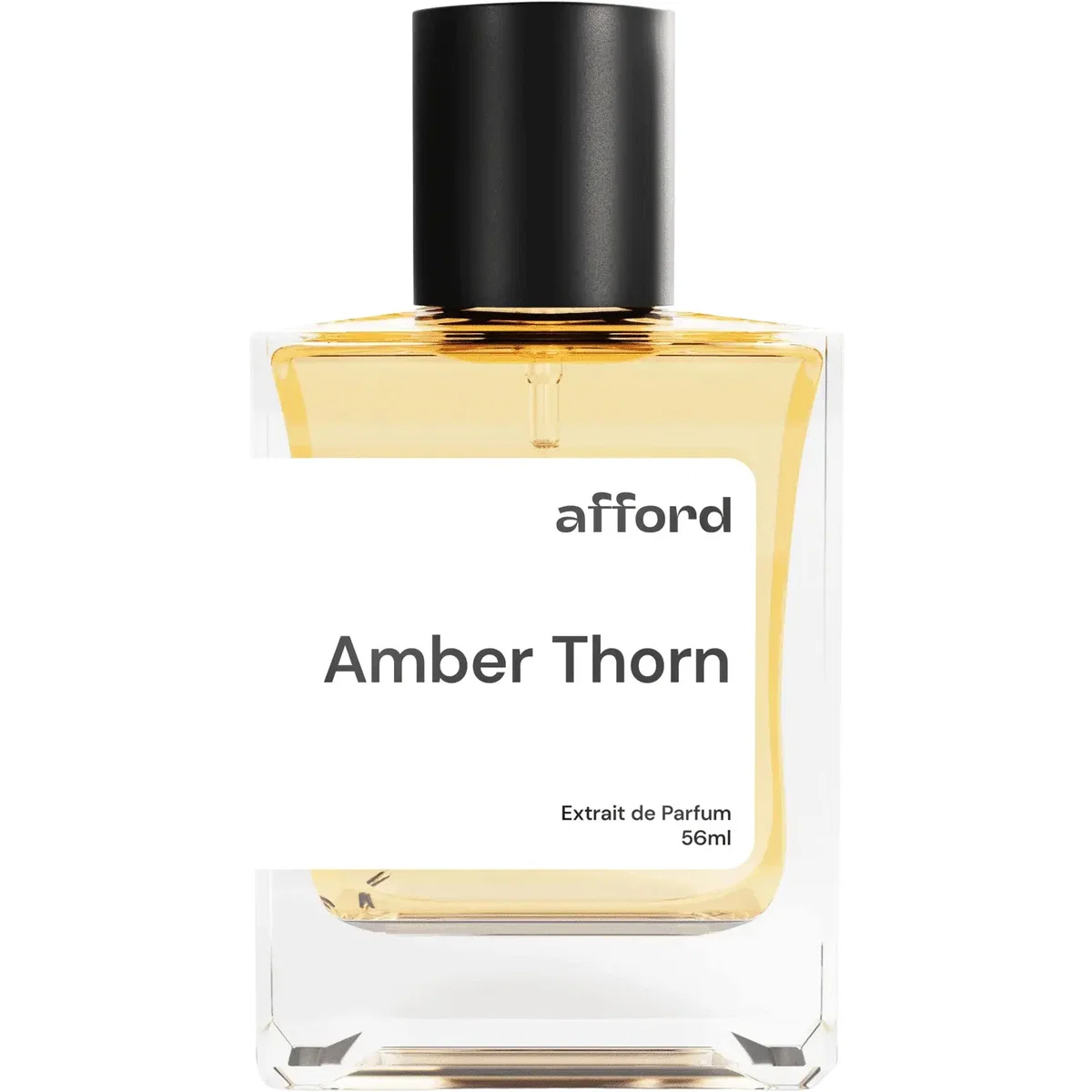 Amber Thorn